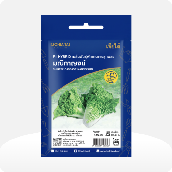 Brass ผักกาดขาว มณีกาญจน์-n