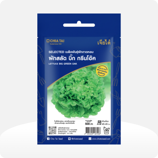 Brass ผักสลัด บิ๊ก กรีนโอ๊ค