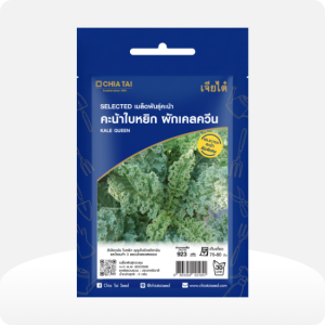 คะน้าใบหยิก ผักเคลควีน