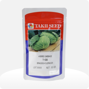 กะหล่ำปลี TAKII T-530