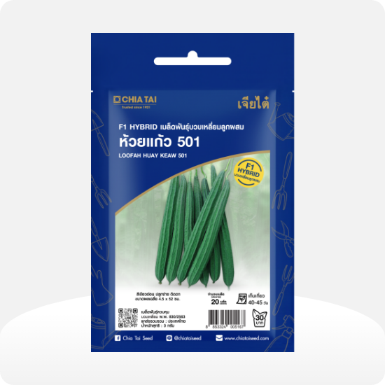 LF บวบเหลี่ยม ห้วยแก้ว 501