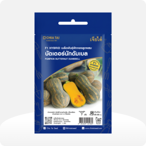 ฟักทองลูกผสม บัตเตอร์นัทดัมเบล