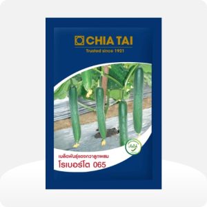 แตงร้านโรเบอร์โต 065