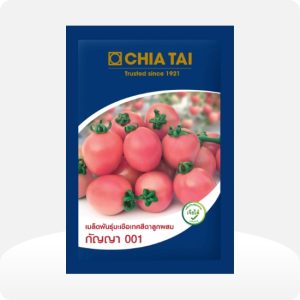 มะเขือเทศสีดา กัญญา 001