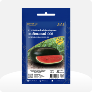 แตงโมลูกผสม แบล็คบอมบ์ 006