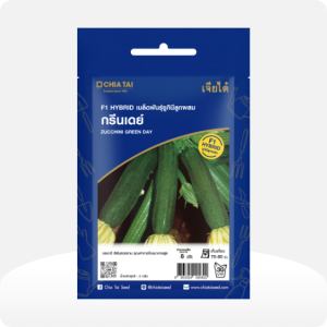ซูกินี กรีนเดย์