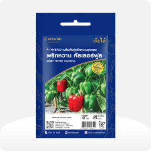 พริกหวาน คัลเลอร์ฟูล