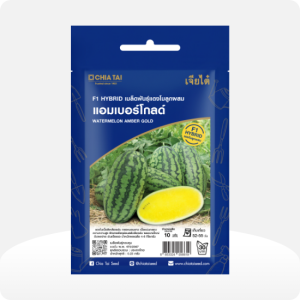 แตงโมลูกผสม แอมเบอร์โกลด์